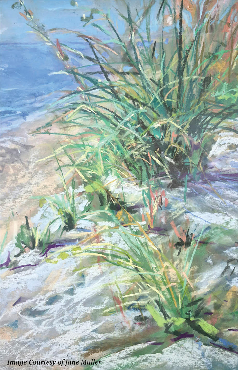 pure florida paint